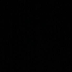 Meet your Posher, Lacey